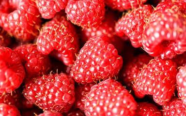 Delicious fresh raspberries background close up