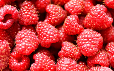 Fresh raspberry background close up