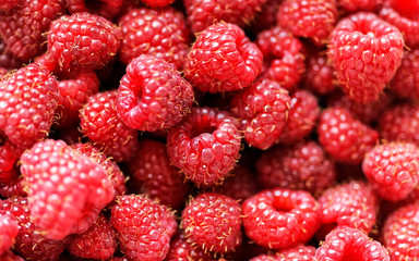 Fresh raspberries background closeup