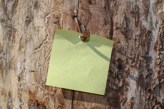A blank sticker on a tree nailed by a rusty nail