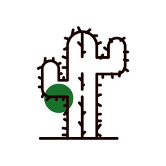 Isolated cactus plant half line half color style icon vector design