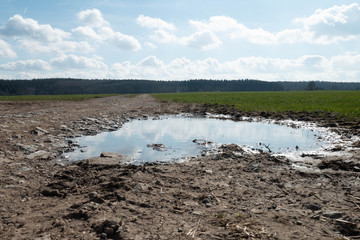 Ein Wanderweg mit einer Pfütze