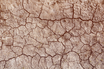 Dry ground with cracks. The concept of drought and global warming