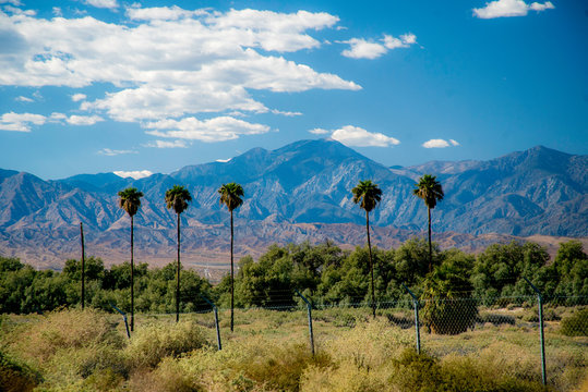 Palm trees in front of a mountain with cloudy sky