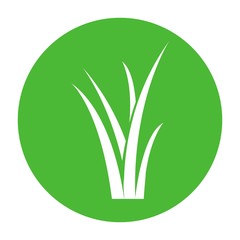grass logo