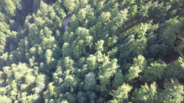 aerial view of jungle forest in pakistan mountains of naran valley near shogran