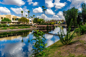Fototapeta na wymiar A small pond in the back of an apartment complex in Phoenix, Arizona