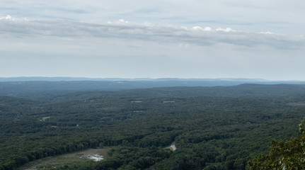 Naklejka premium lookout view of forest