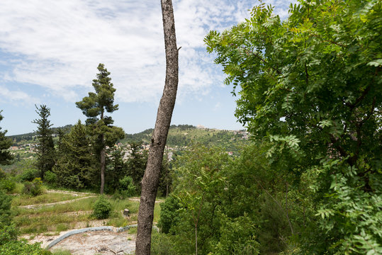 Visiting Safed in Northern Israel