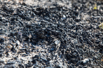 remains of coal and ash