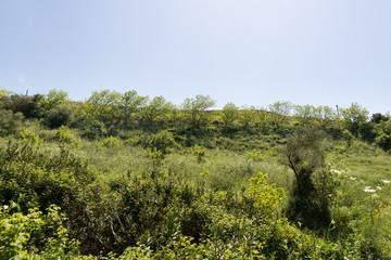 Fototapeta premium Ayun River Nature Reserve