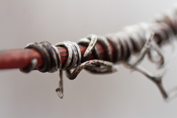 Dry grape vine winding around an old wire fence lining a farmer's field. 