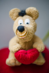 Two golden wedding rings. Close-up view of white golden wedding rings in a box, before wedding ceremony and vows
