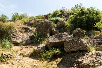 Ayun River Nature Reserve