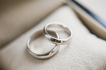 Two designer golden wedding rings with copy space and selective focus. Close-up view of white golden wedding rings in a box, before wedding ceremony and vows. Macro. 