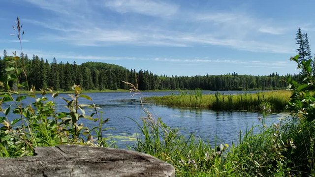 A windy summer day at Hickey Lake, Duck Mountain Provincial Park, Manitoba, Canada