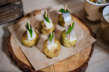 Banquet service. Catering food, snacks with cheese. Salat with shrimp. Different colorful meals for breakfast or lunch time