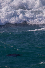 energetic & beautiful waves of sea