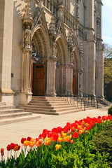 Tulips bloom in front of the Heinz Chapel at the University of Pittsburgh