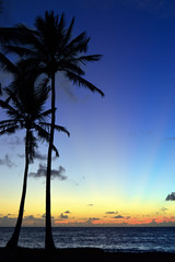 Twilight on a tropical beach scene