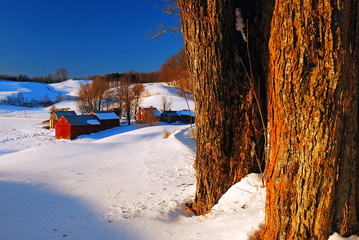 A rural New England scene in winter