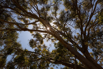 Hiking at Nahal Sorek