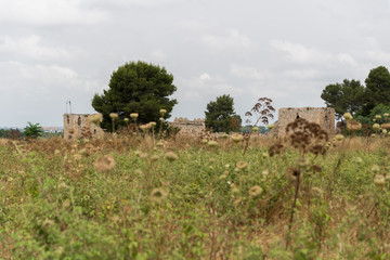 Fototapeta premium Yarkon National Park in central Israel