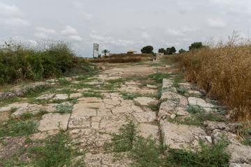 Fototapeta premium Yarkon National Park in central Israel