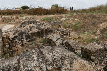 Yarkon National Park in central Israel