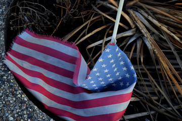 down but headed up USA USA cr2020darrelljbanks