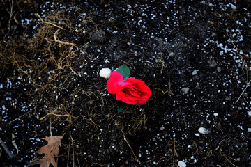 spring verse fall cr2020 darrelljbanks