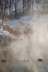 Omsk region, Siberian, Russia