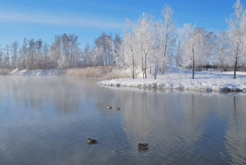 Omsk region, Siberian, Russia