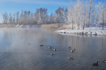 Omsk region, Siberian, Russia