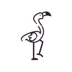 Flamingo bird line style icon vector design