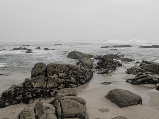 Fog over the ocean on a misty day at the beach. Rocks covered with shellfish in the foreground