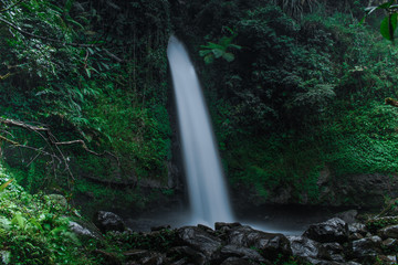Fototapeta na wymiar Waterfall in Forest