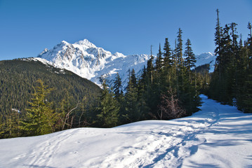 Fototapeta na wymiar Mt Baker snowshoe