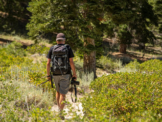 Man carrying camera with backpack while hiking on lush eastern sierra mountain trail