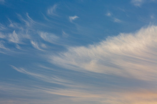 Uncus Inklemming Uncus-Bilder: Stock-Fotos & -Videos. | Adobe Stock