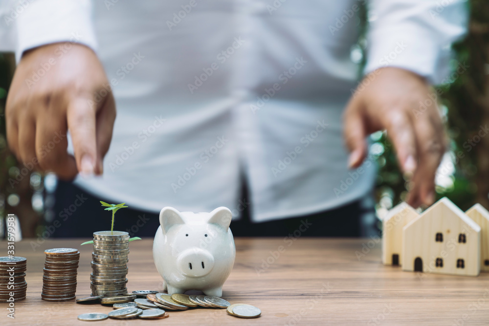 Wall mural money coin stack growing graph with bokeh light background,investment concept. plant growing on coin