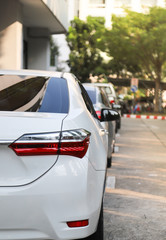 Closeup of rear, back side of white car with  other cars parking in outdoor parking area. Vertical view.