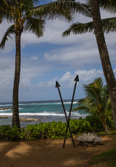 Blue Hawaii