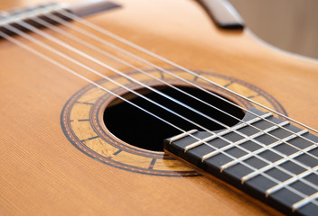 Fototapeta premium Rosette