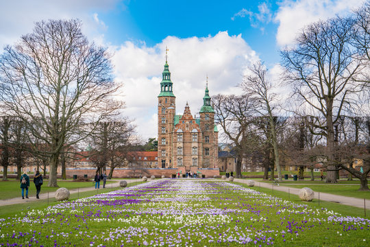 Beautiful  crocus flowers in the garden. Sign of spring,  Rosenborg slot, Copenhagen, Denmark