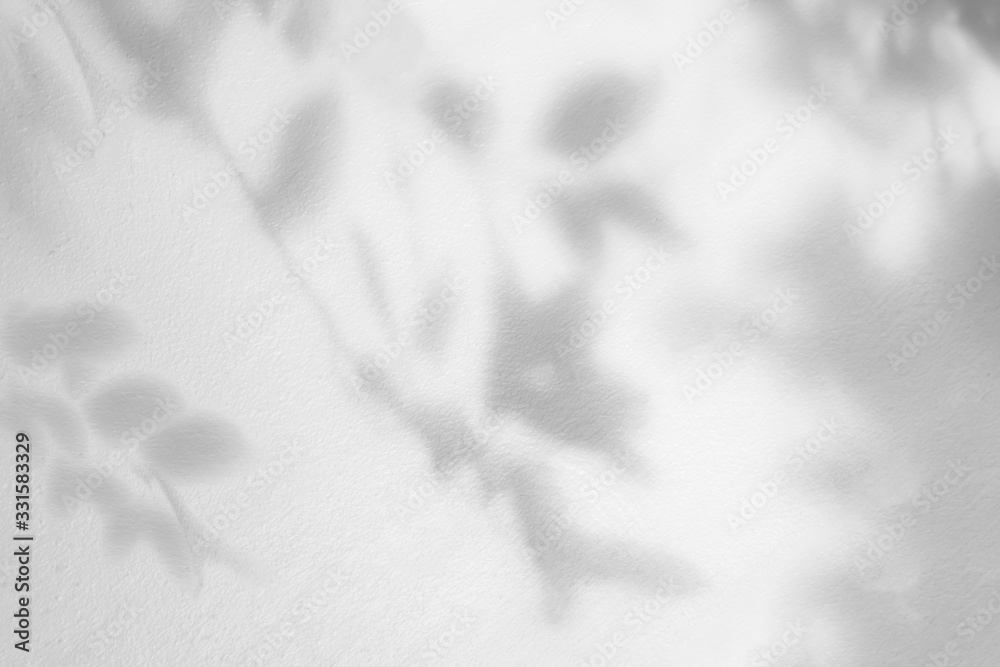 Poster leaves shadow and tree branch background. natural leaves tree branch dark shadow and light from sunl