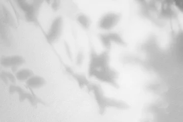Fotobehang Slaapkamer Leaves shadow and tree branch background.  Natural leaves tree branch dark shadow and light from sunlight dappled on white concrete wall texture  © merrymuuu
