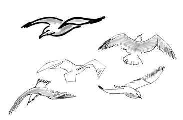 graphic black and white drawing flying seagulls on a white background