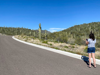 Obraz premium woman on the road mountains