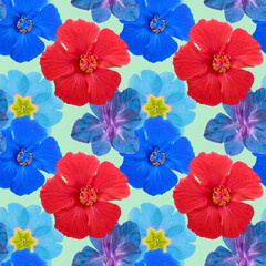 Hibiscus, gladiolus, primula, primrose. Illustration, texture of flowers. Seamless pattern. Floral background, photo collage for production of textile, cotton fabric. For wallpaper, covers